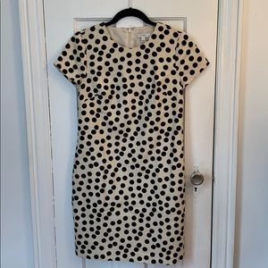 SALE 2/$12 J. Crew Short Sleeve Polka Dot Dress